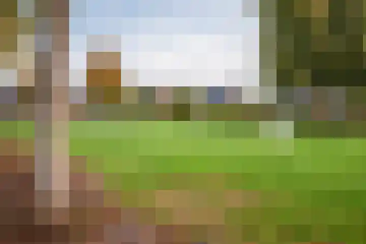 Binnendijkshof 10 Ruinerwold thumbnail 31