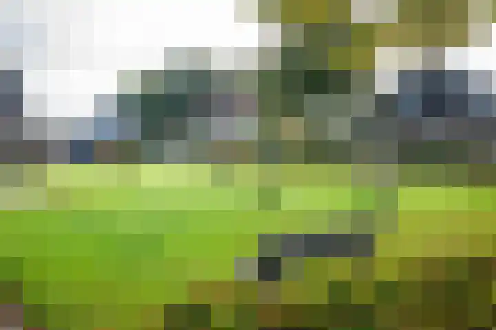 Binnendijkshof 10 Ruinerwold thumbnail 32