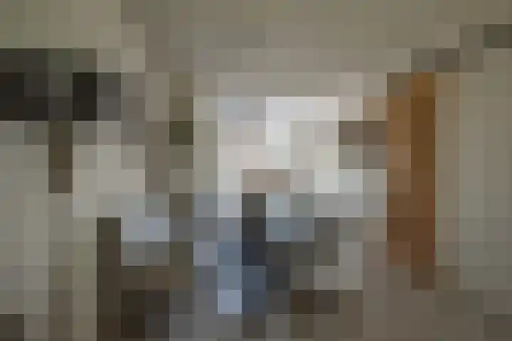Binnendijkshof 10 Ruinerwold thumbnail 5