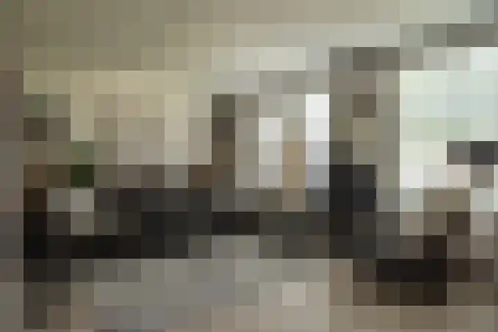 Binnendijkshof 10 Ruinerwold thumbnail 6