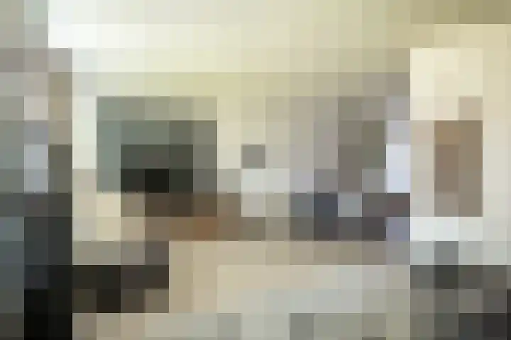 Binnendijkshof 10 Ruinerwold thumbnail 7