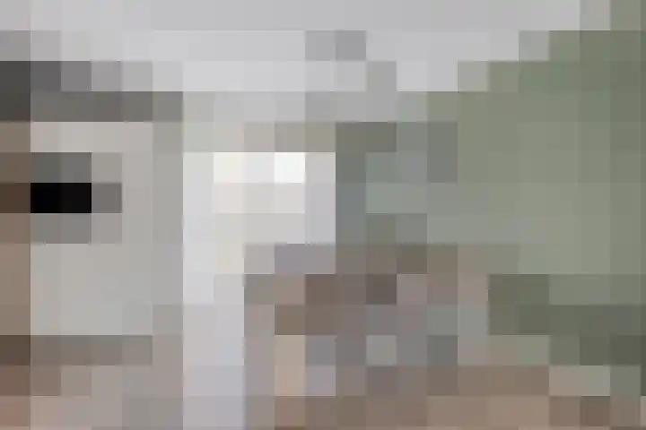 Binnendijkshof 12 Ruinerwold thumbnail 12