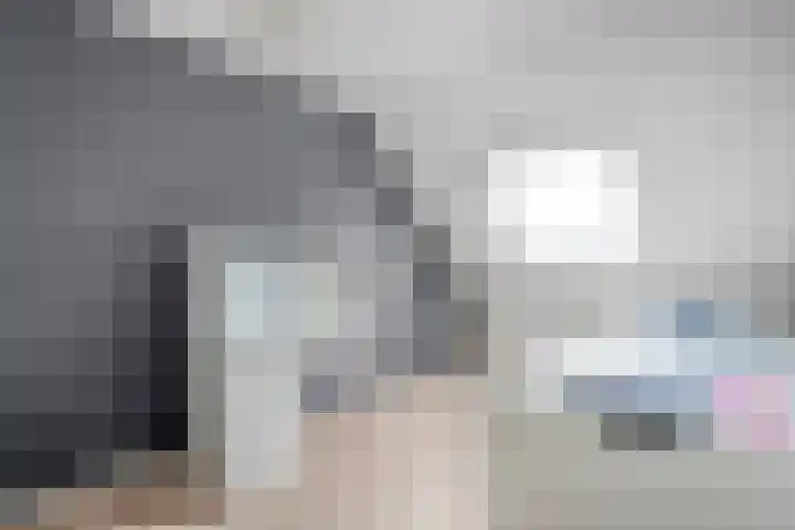 Binnendijkshof 12 Ruinerwold thumbnail 22