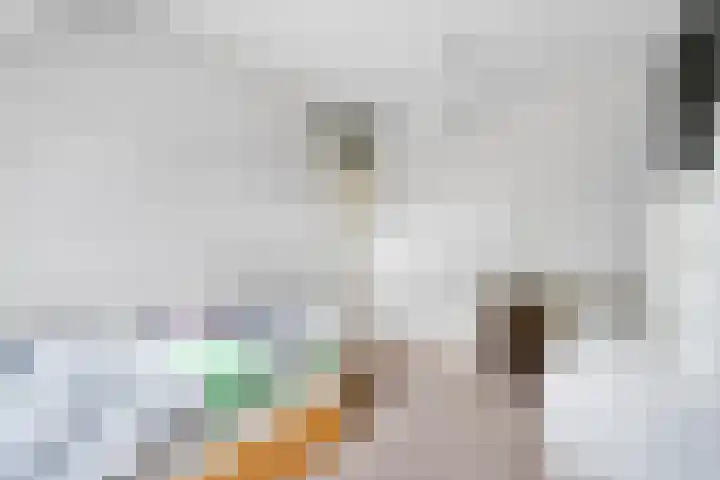 Binnendijkshof 12 Ruinerwold thumbnail 23