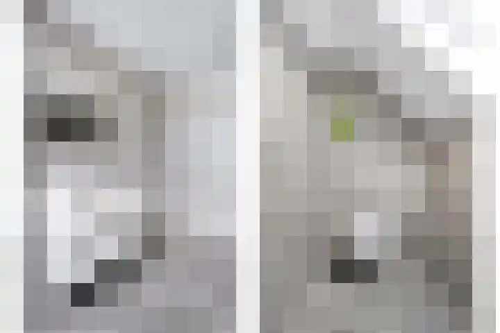 Binnendijkshof 12 Ruinerwold thumbnail 27