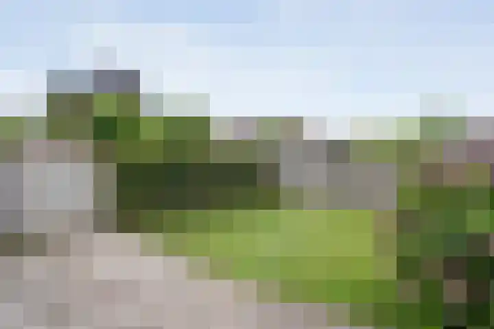 Binnendijkshof 12 Ruinerwold thumbnail 35