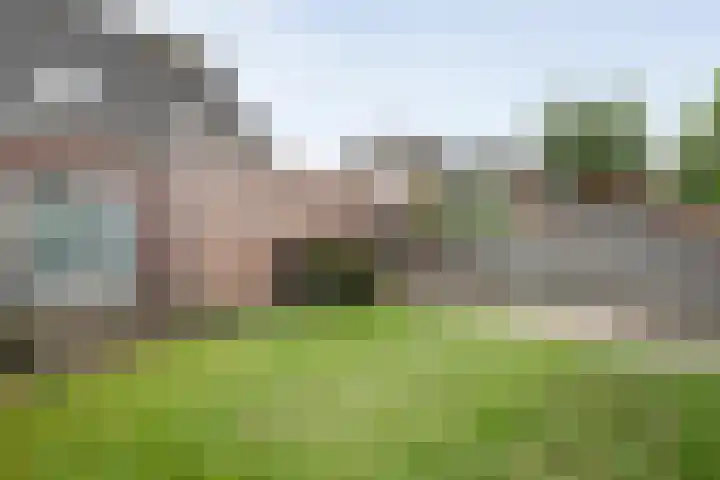 Binnendijkshof 12 Ruinerwold thumbnail 36