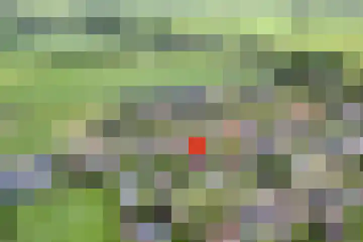 Binnendijkshof 12 Ruinerwold thumbnail 4