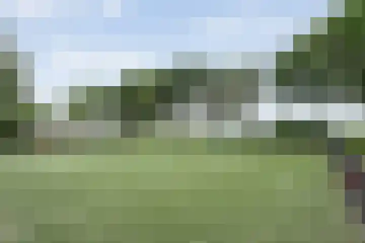 Binnendijkshof 12 Ruinerwold thumbnail 41