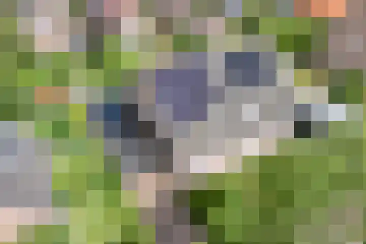 Binnendijkshof 12 Ruinerwold thumbnail 5