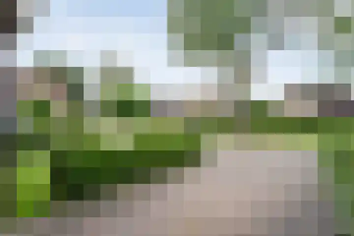 Binnendijkshof 12 Ruinerwold thumbnail 6