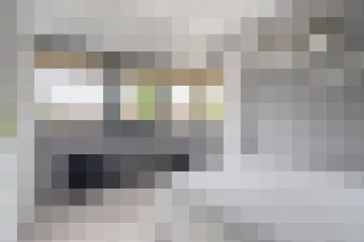 Binnendijkstraat 16 Zwolle thumbnail 22