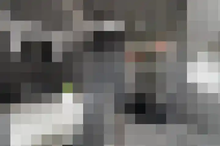 Binnendijkstraat 16 Zwolle thumbnail 31