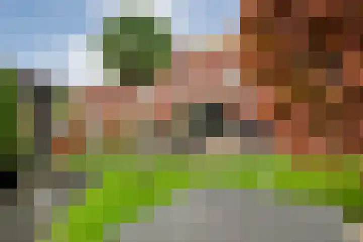 Binnendijkstraat 16 Zwolle thumbnail 38