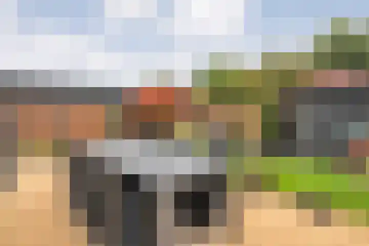 Binnendijkstraat 16 Zwolle thumbnail 41