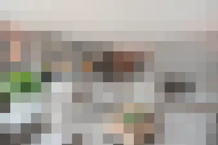 Binnendijkstraat 16 Zwolle thumbnail 7