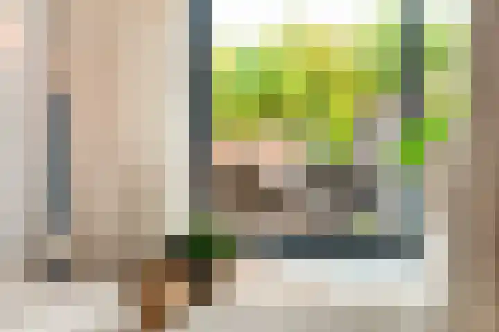 Binnendijkstraat 16 Zwolle thumbnail 9