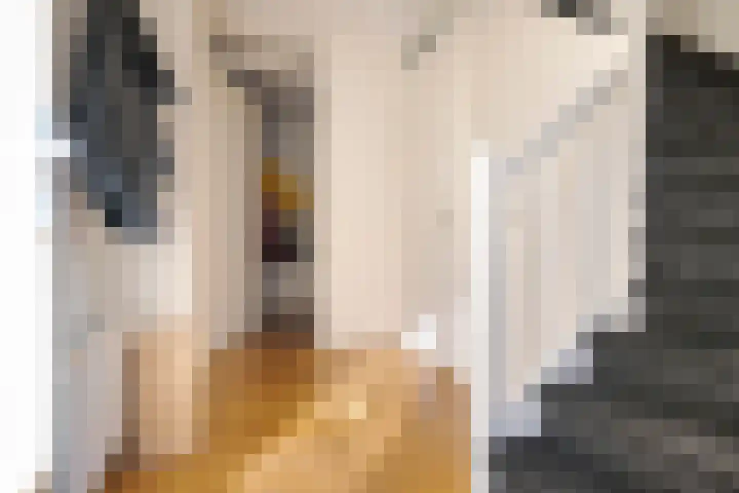Binnendijkstraat 6 Zwolle thumbnail 11