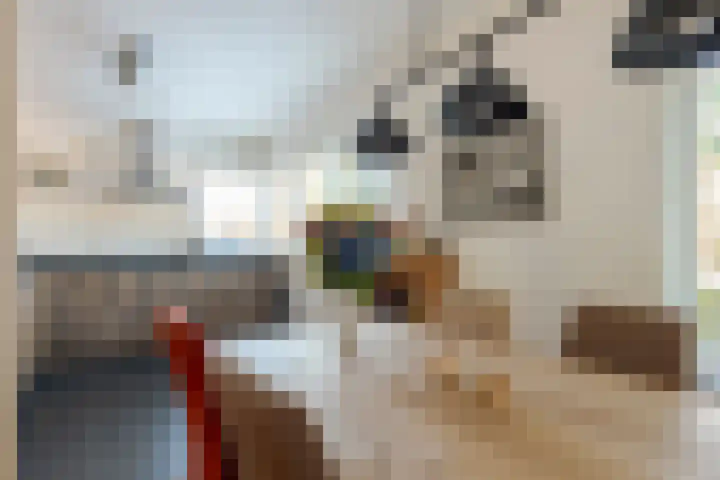 Binnendijkstraat 6 Zwolle thumbnail 19