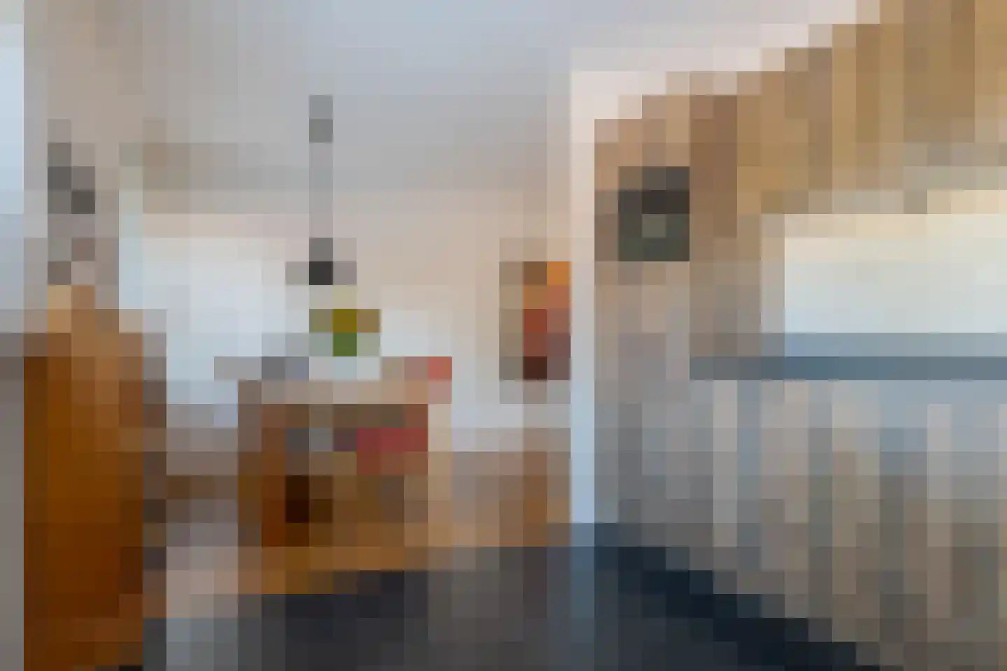 Binnendijkstraat 6 Zwolle thumbnail 22