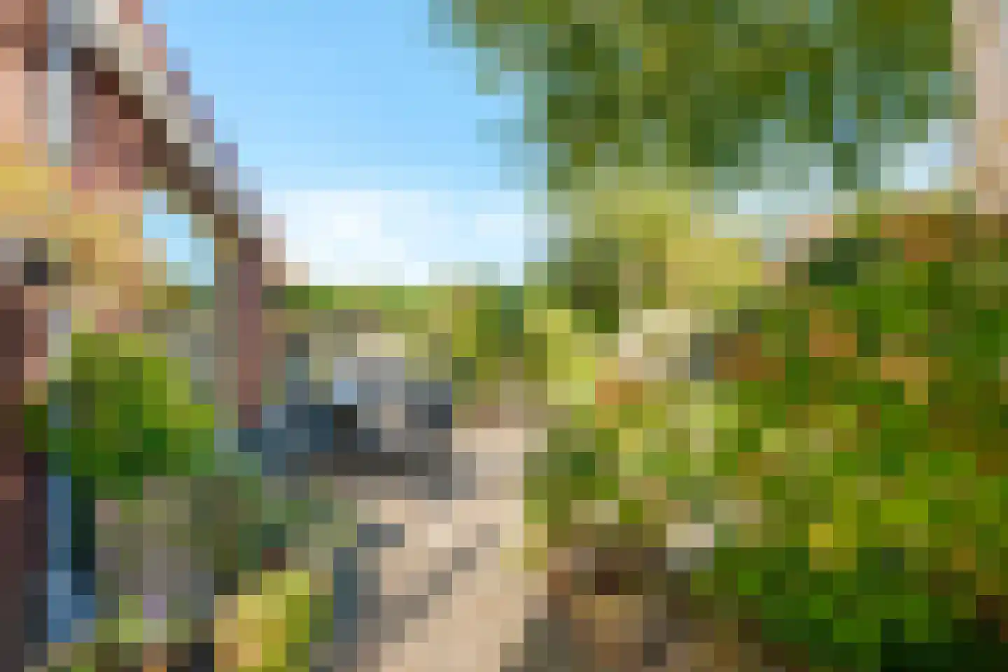 Binnendijkstraat 6 Zwolle thumbnail 24
