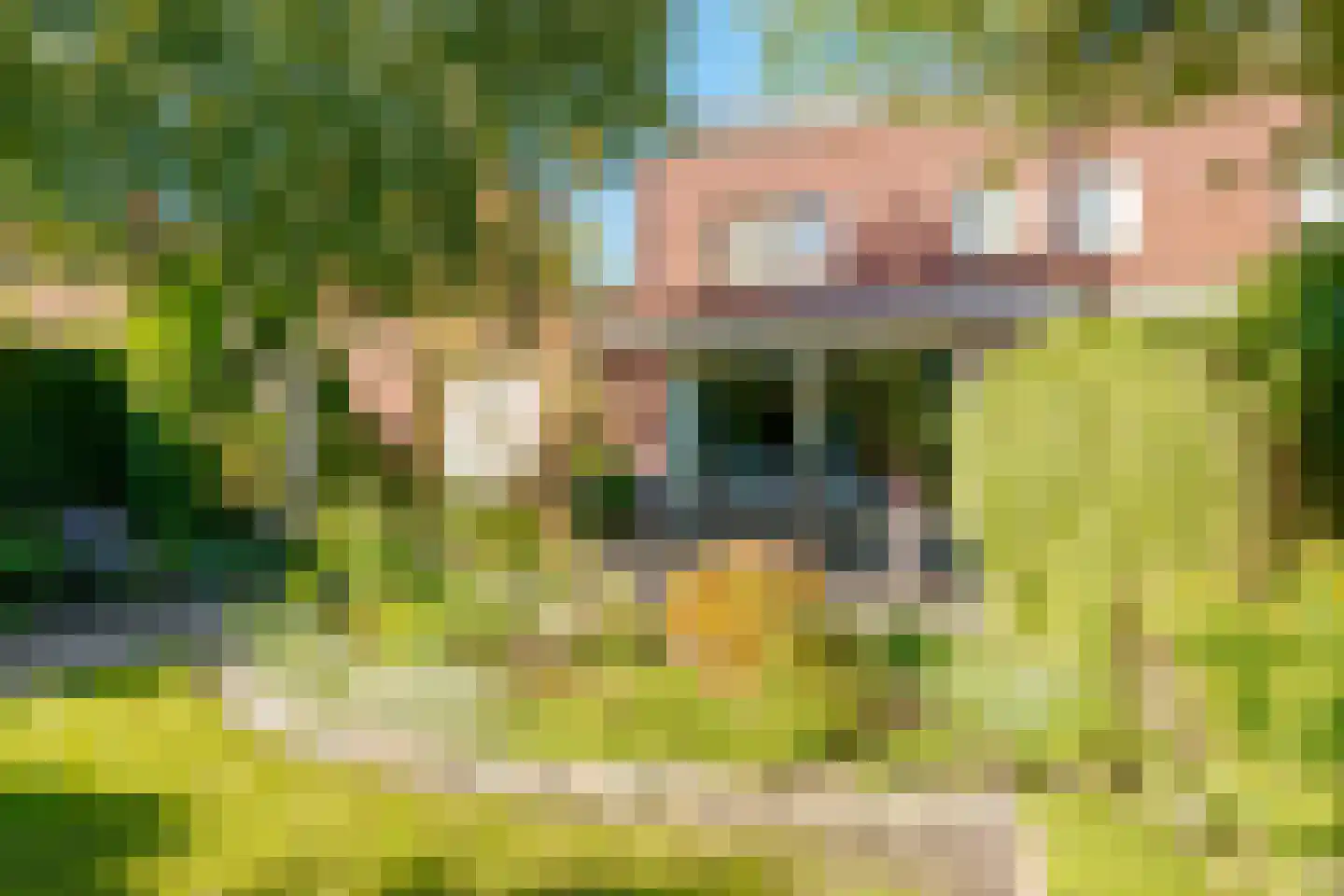 Binnendijkstraat 6 Zwolle thumbnail 28