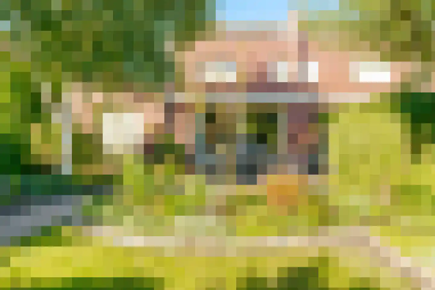 Binnendijkstraat 6 Zwolle thumbnail 29