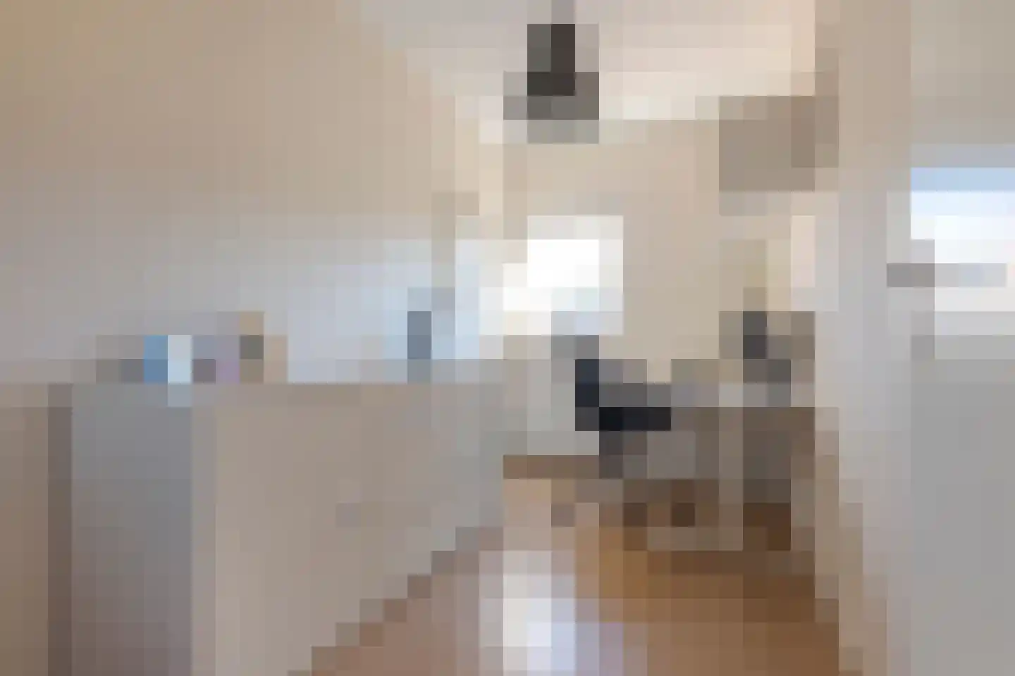 Binnendijkstraat 6 Zwolle thumbnail 34