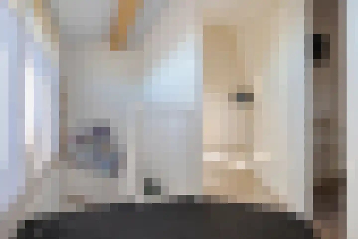 Binnendijkstraat 6 Zwolle thumbnail 40