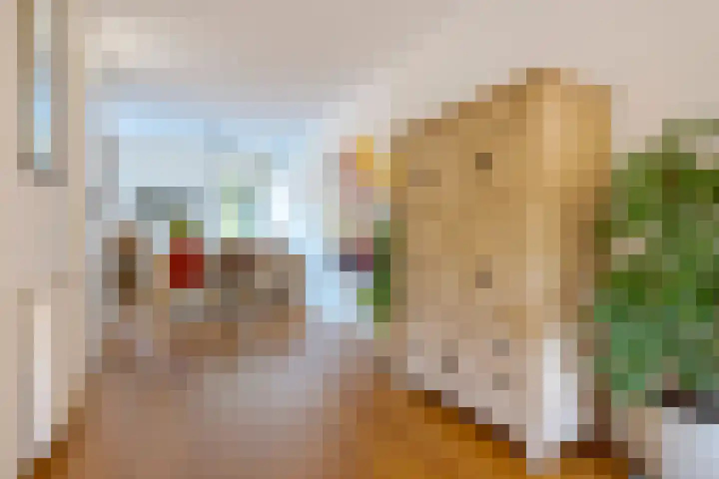 Binnendijkstraat 6 Zwolle thumbnail 6