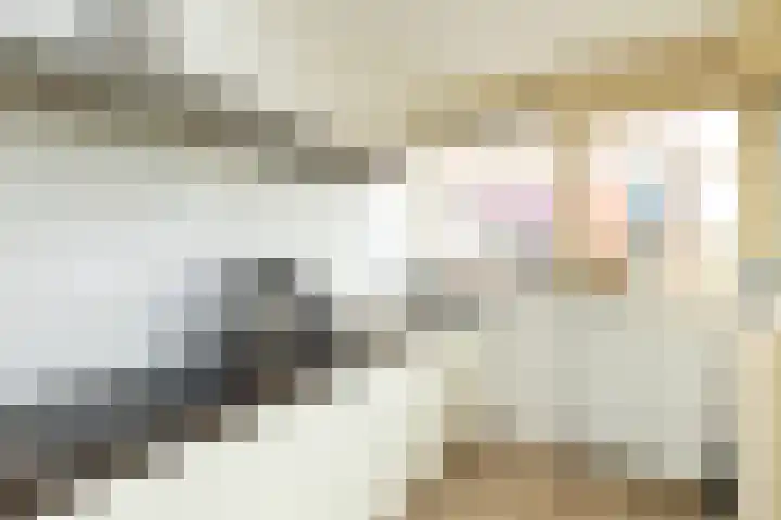 Binnendoor 2 Hilversum thumbnail 13