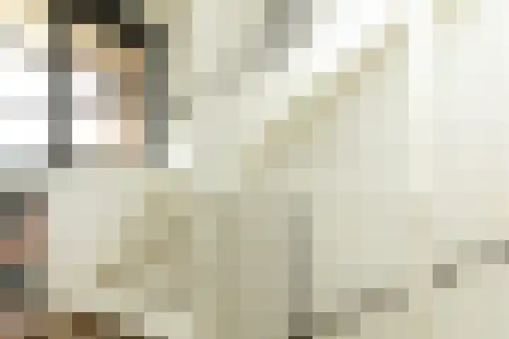 Binnendoor 2 Hilversum thumbnail 15
