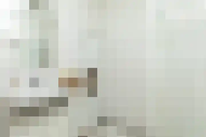 Binnendoor 2 Hilversum thumbnail 22