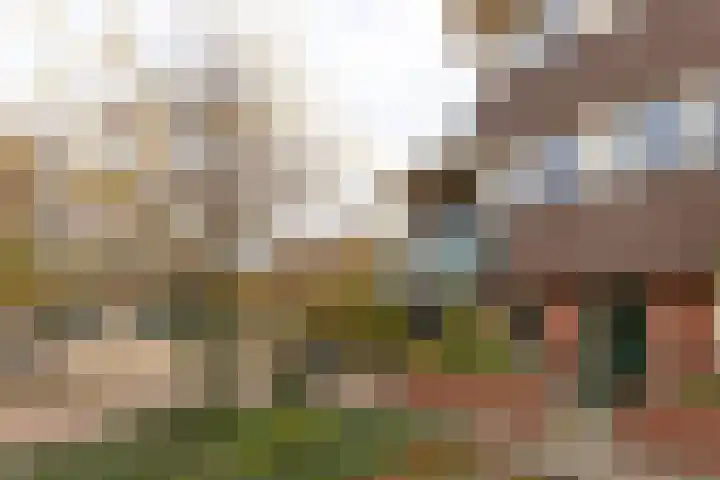 Binnendoor 2 Hilversum thumbnail 4