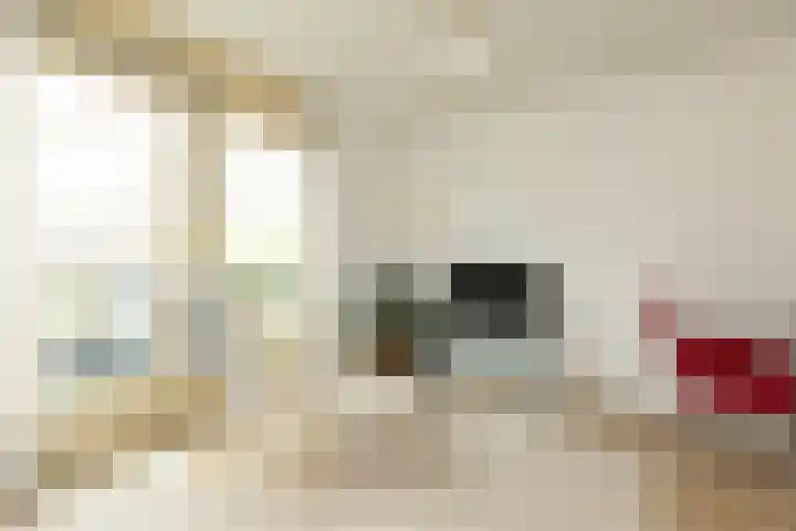 Binnendoor 2 Hilversum thumbnail 7