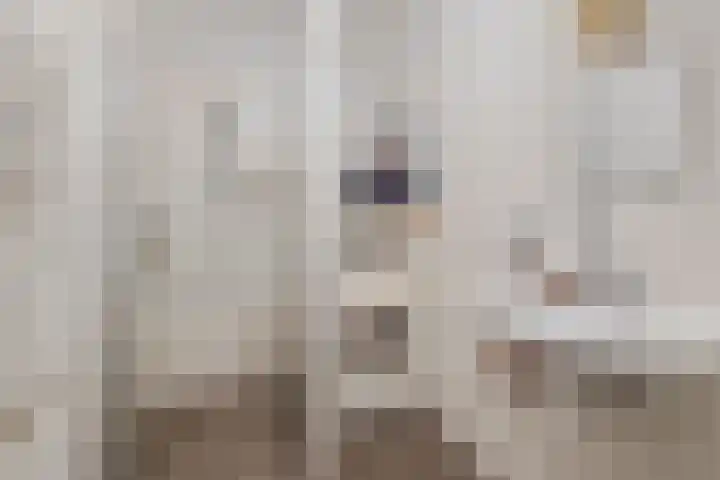 Binnendoor 40 Hilversum thumbnail 19