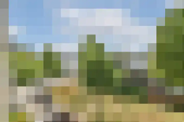 Binnendraaierij 7 Amsterdam thumbnail 20