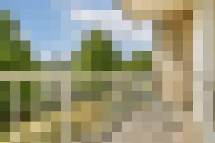 Binnendraaierij 7 Amsterdam thumbnail 21