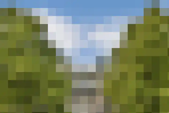 Binnendraaierij 7 Amsterdam thumbnail 28