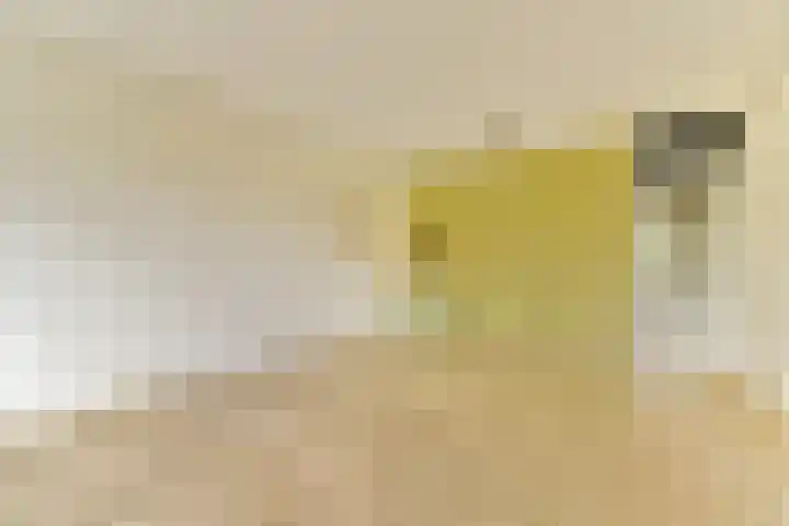 Binnendraaierij 7 Amsterdam thumbnail 4