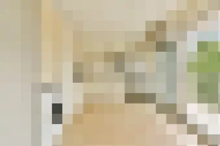 Binnendraaierij 7 Amsterdam thumbnail 7