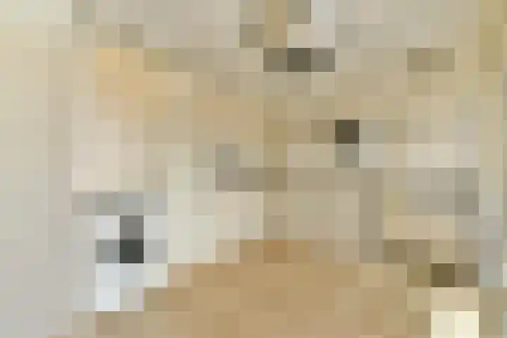 Binnendraaierij 7 Amsterdam thumbnail 8