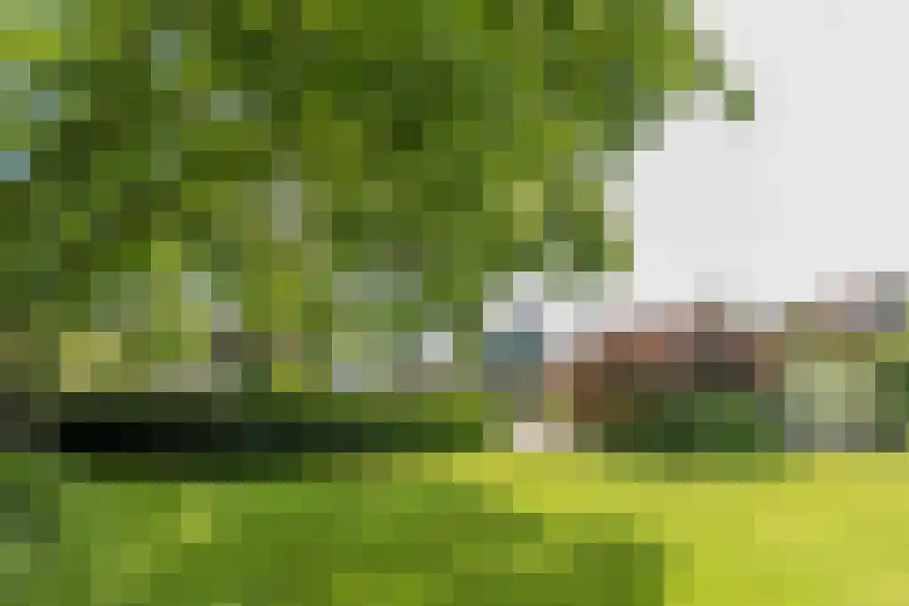 Binnenduin 13 Burgh-Haamstede thumbnail 10