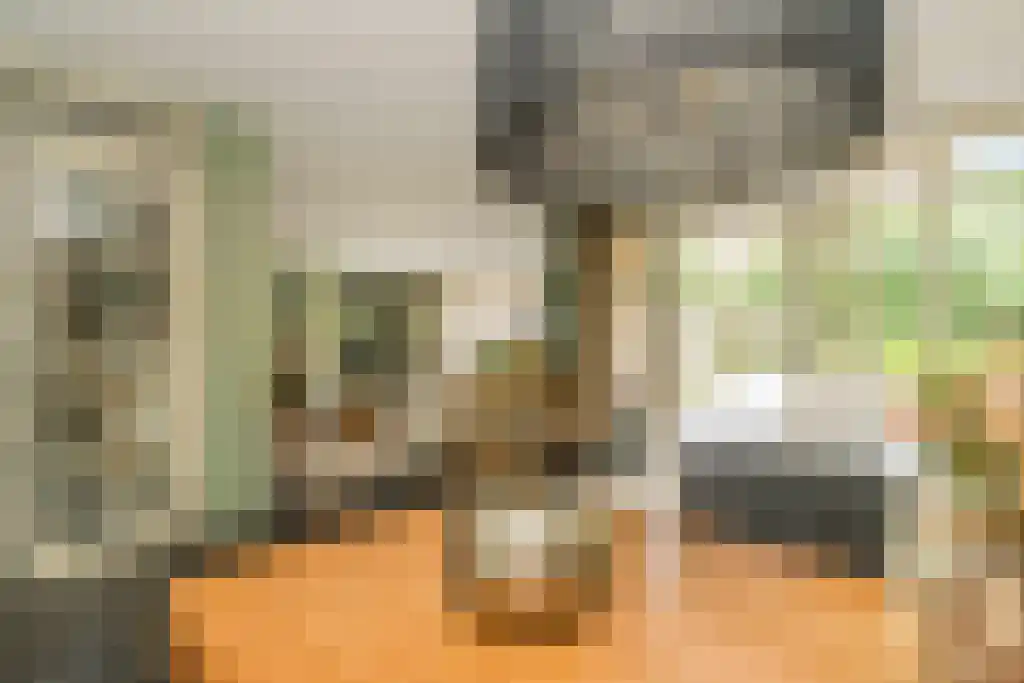 Binnenduin 13 Burgh-Haamstede thumbnail 19