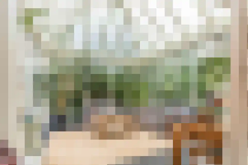 Binnenduin 13 Burgh-Haamstede thumbnail 27
