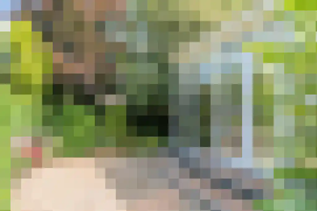 Binnenduin 13 Burgh-Haamstede thumbnail 29