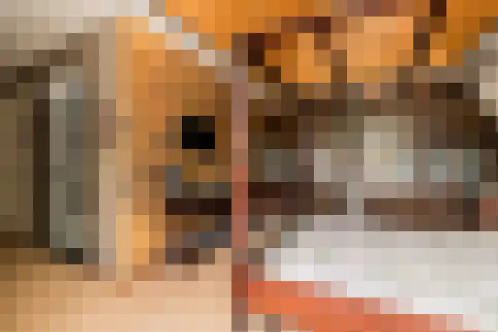 Binnenduin 13 Burgh-Haamstede thumbnail 33