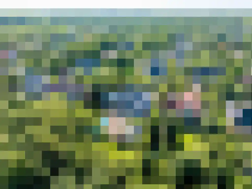 Binnenduin 13 Burgh-Haamstede thumbnail 49