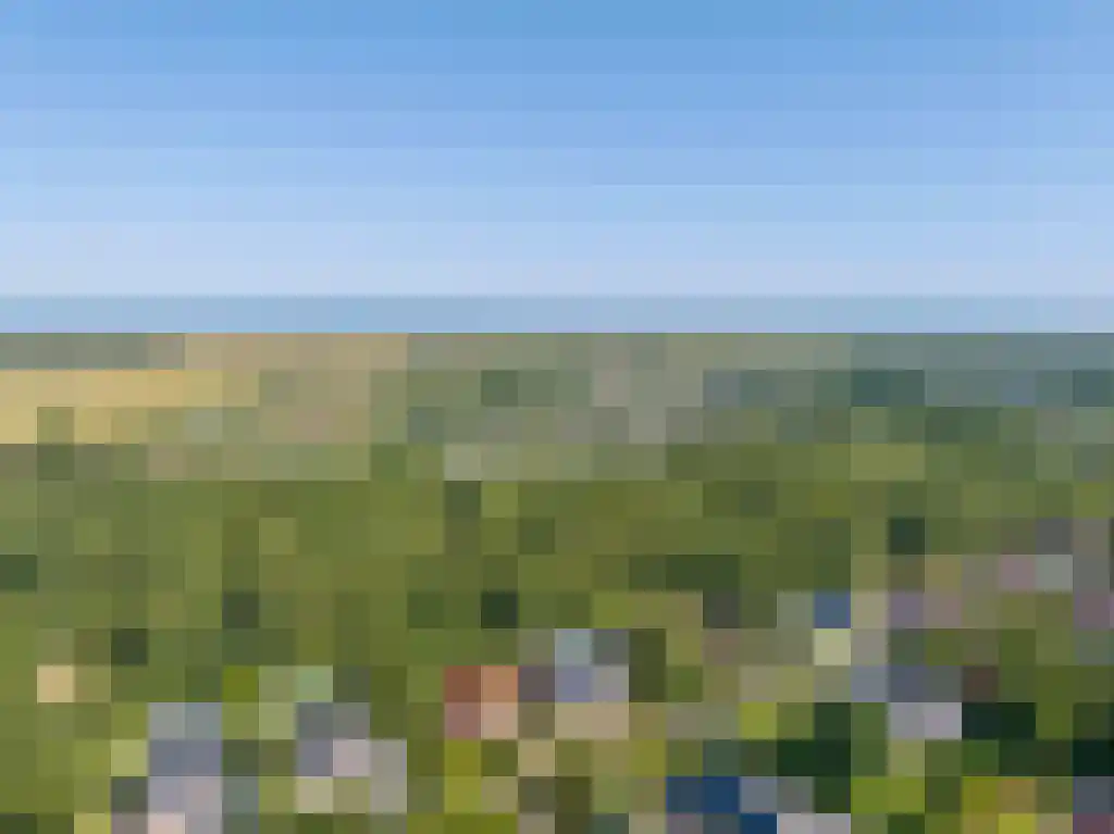 Binnenduin 13 Burgh-Haamstede thumbnail 50