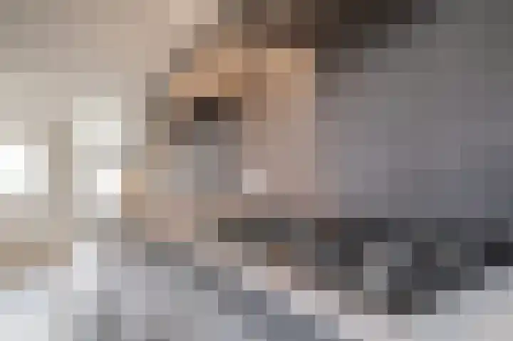 Binnendyk 16 Rottum thumbnail 18
